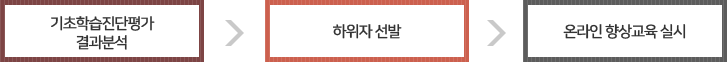 기초학습진단평가 결과분석 → 하위자 선발 → 온라인 향상교육 실시